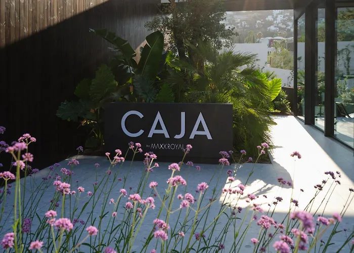 Caja By Maxx Royal
